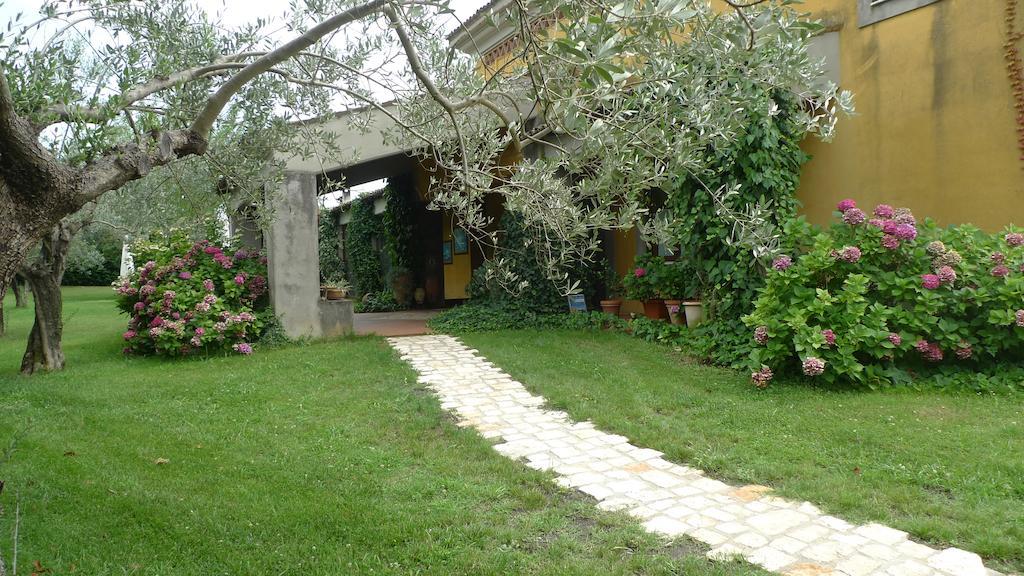 Le Ninfee Bed & Breakfast Касино Екстериор снимка